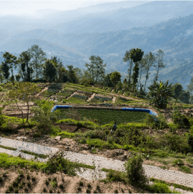 kakani agro tourism organic food cultivation farm