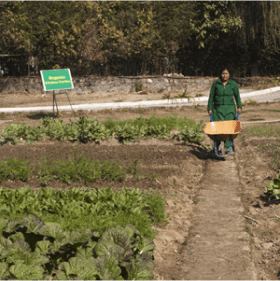 kakani agro tourism farming